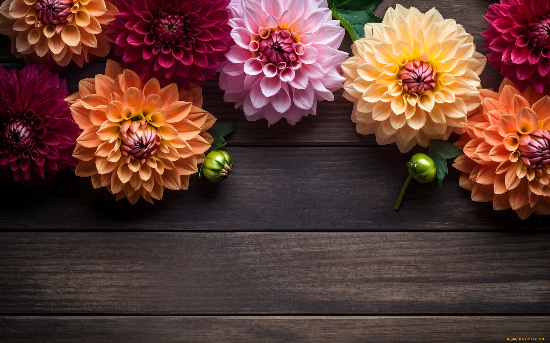 3 ,  , flowers, 